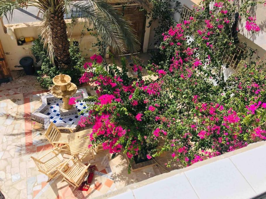 Suite Moonlight Zone Touristique Tozeur Exteriör bild